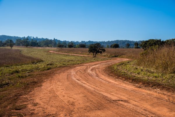 Cost of Dirt Driveway Repair in Roswell