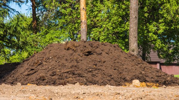 Cost of Dirt Installation in Roswell