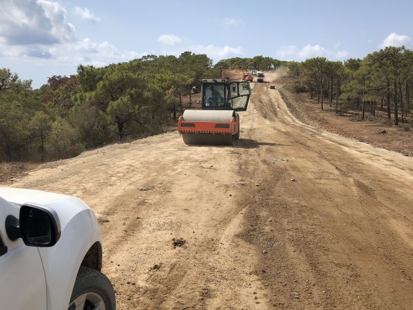 Cost of Driveway Grading in Roswell