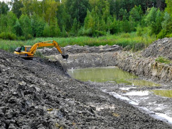 Cost of Fish Pond Digging in Roswell