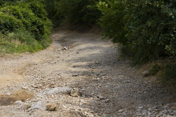 Cost of Gravel Road Pothole Repair in Roswell