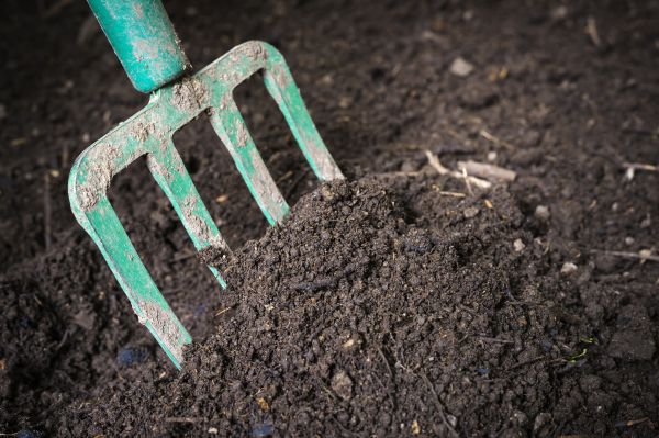 Cost of Topsoil Spreading in Roswell