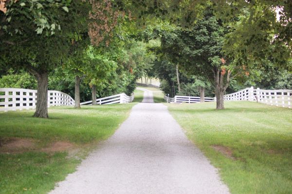 Cost of Road Installation in Roswell