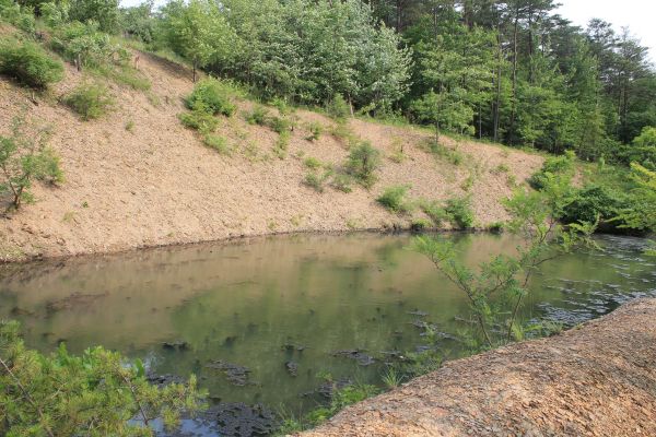 Cost of Pond Erosion Repair in Roswell
