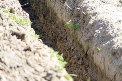 Trench Digging
